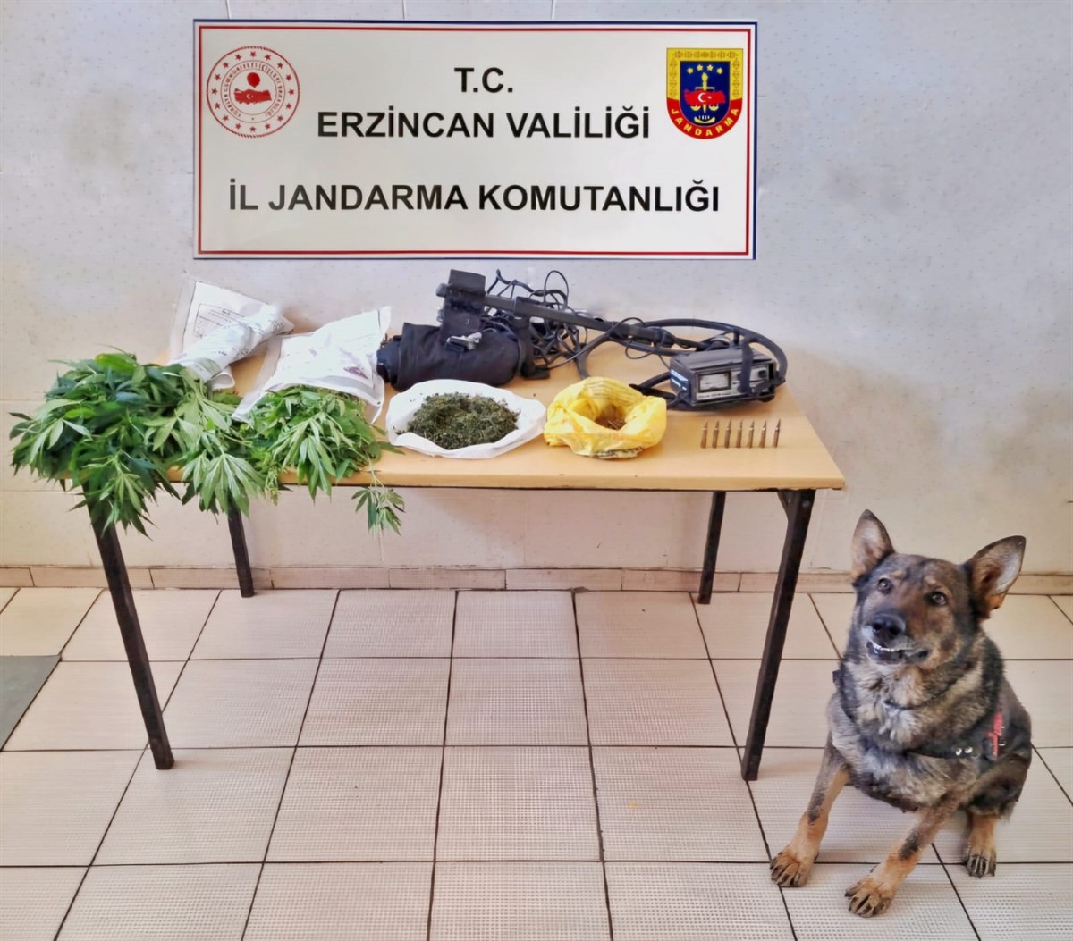Erzincan İl Jandarma Komutanlığınca, Temmuz 2024 ayında icra edilen Asayiş,