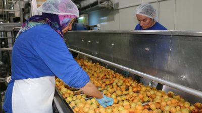 Sanayi, inşaat ve ticaret-hizmet sektörleri toplamında ücretli çalışan sayısı 2024