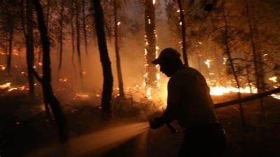 2024 yılının ilk sekiz ayında Türkiye'de 2.529 orman yangını meydana