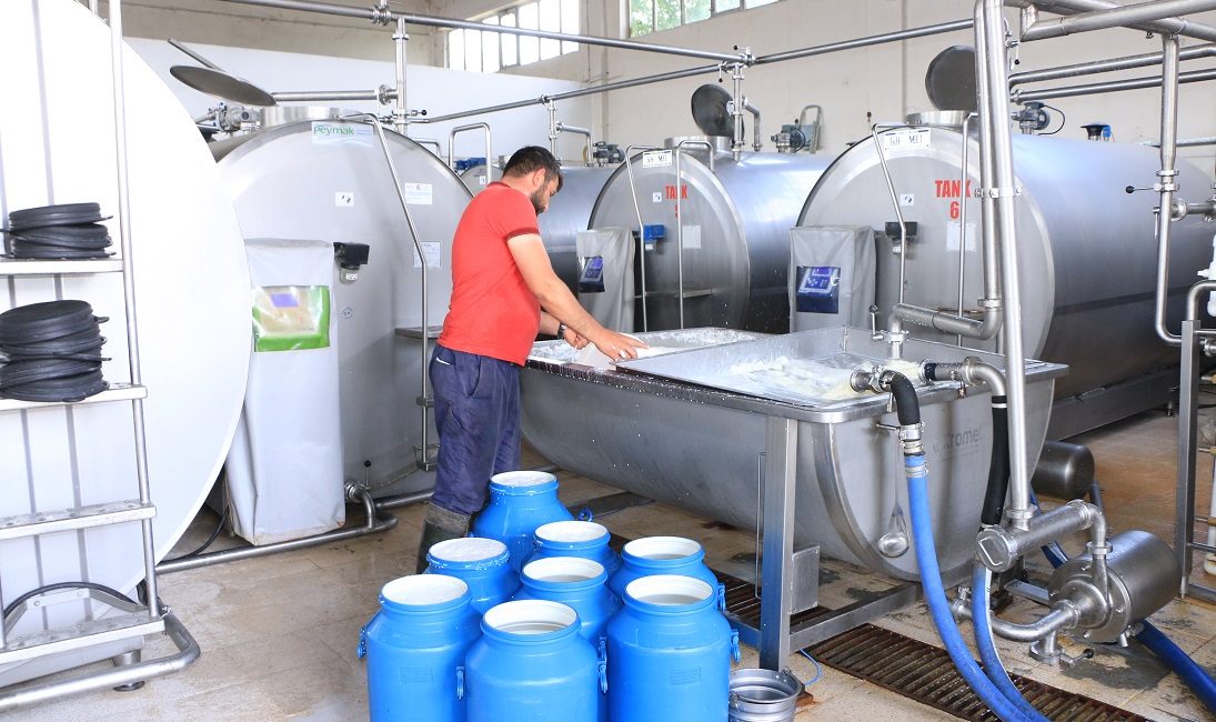 Ticari süt işletmeleri tarafından toplanan inek sütü miktarı, Temmuz ayında