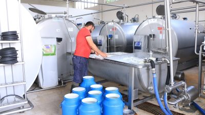 Ticari süt işletmeleri tarafından toplanan inek sütü miktarı, Temmuz ayında