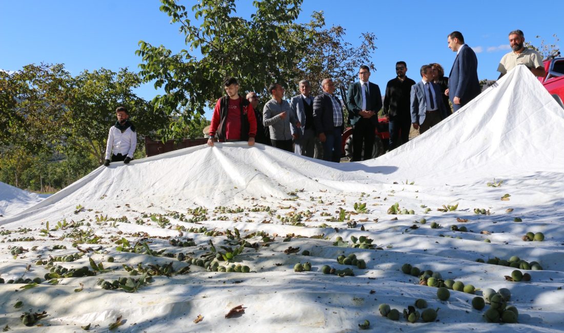 Erzincan’ın Kemah ilçesinde yer alan 1398 rakımlı Özdamar köyüne 2011