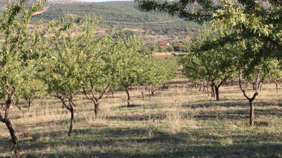 Erzincan’ın Kemaliye ilçesine bağlı Ocak Köyü’nde hayallerini gerçekleştiren İşadamı Rıza