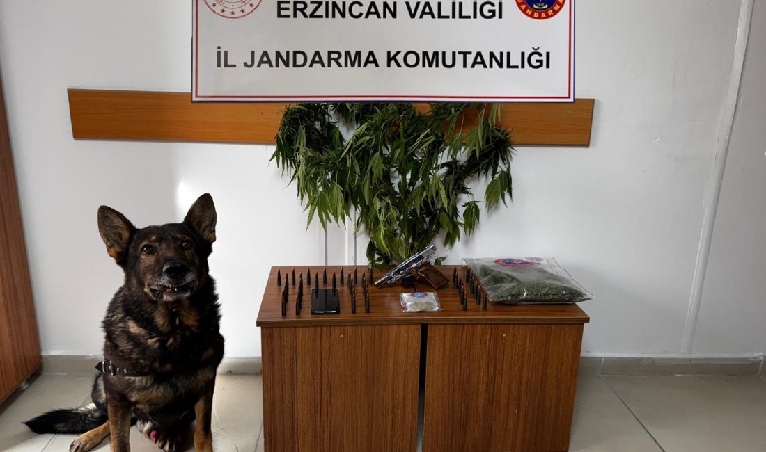 Erzincan İl Jandarma Komutanlığınca, Eylül 2024 ayında icra edilen Asayiş,