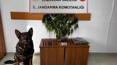 Erzincan İl Jandarma Komutanlığınca, Eylül 2024 ayında icra edilen Asayiş,