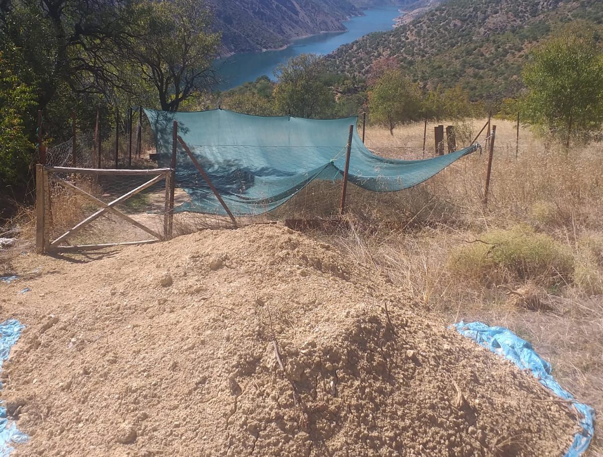 Mikroklima iklim özellikleri, toprak yapısı ve temiz su kaynaklarıyla birçok