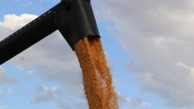 Tarım-GFE'de (2020=100), 2024 yılı Eylül ayında bir önceki aya göre