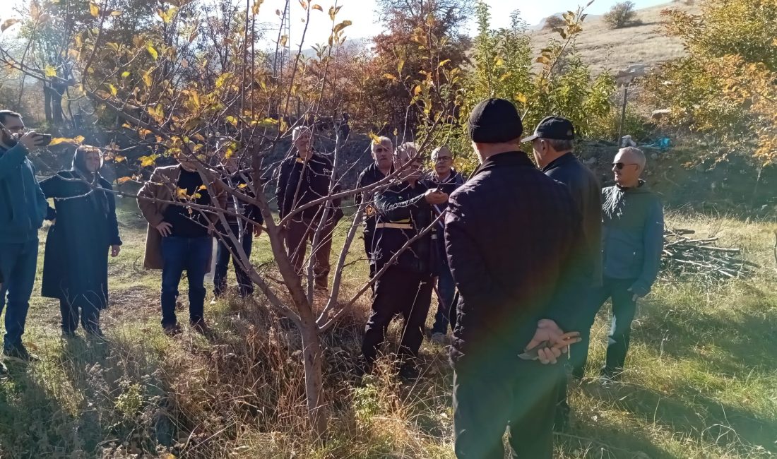 Erzincan Tarım ve Orman İl Müdürlüğü Bitkisel Üretim ve Bitki