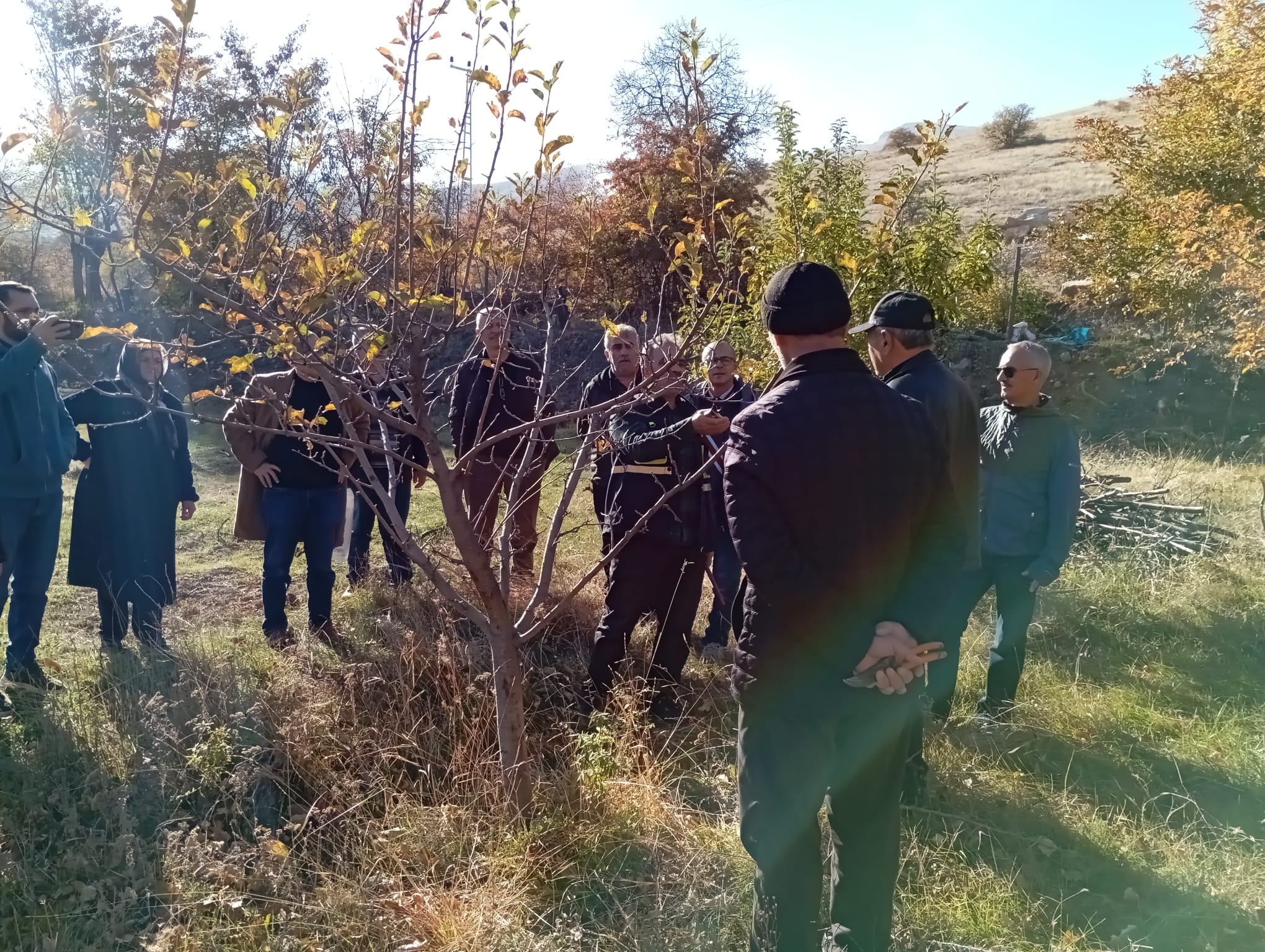 Erzincan Tarım ve Orman İl Müdürlüğü Bitkisel Üretim ve Bitki