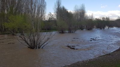 Cumhurbaşkanlığınca sağlanan destekle ilgili değerlendirmelerde bulunan Milletvekili Karaman, “Erzincan’da Temmuz