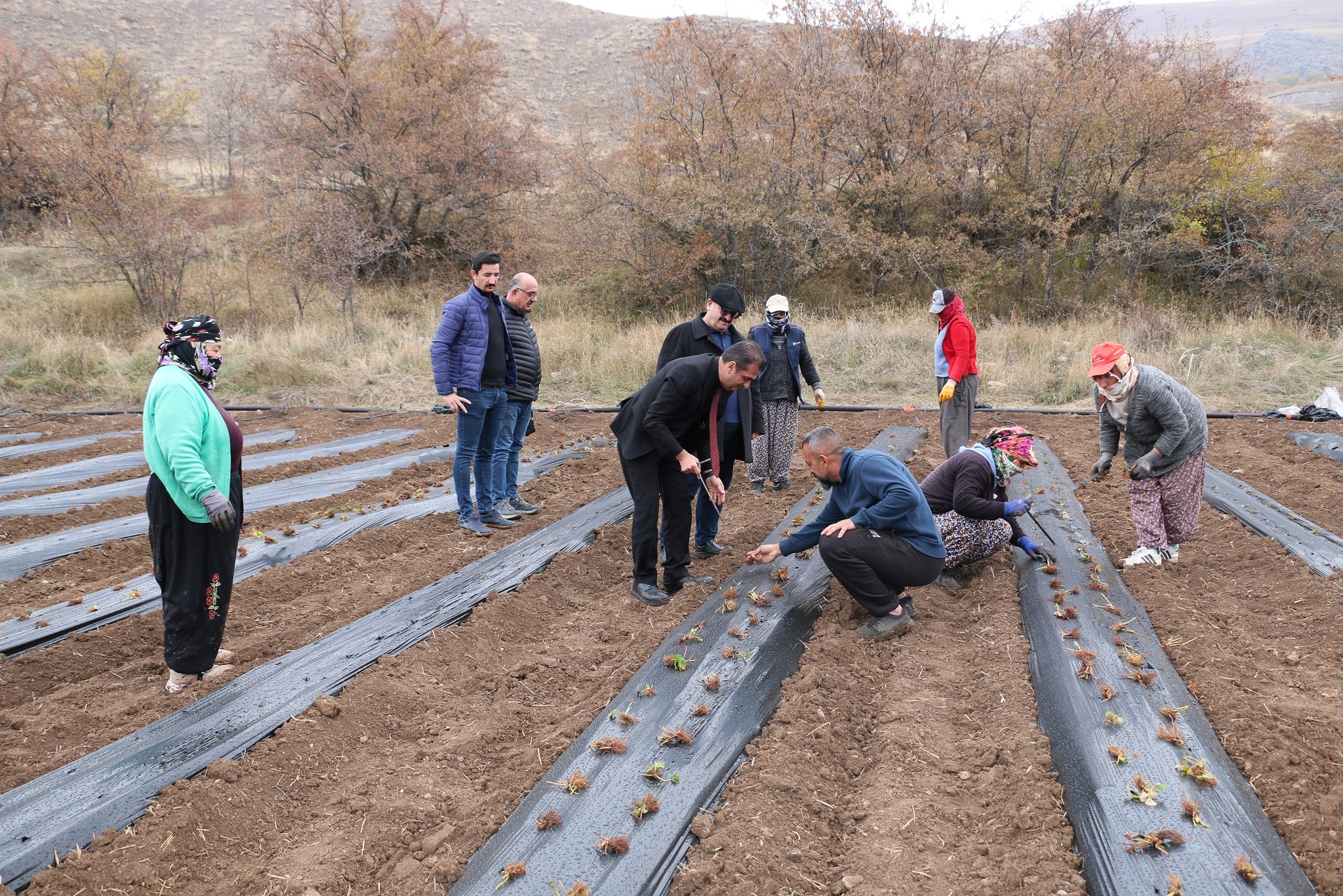 Erzincan tarımda geleceğe umutla bakıyor. Tarımsal ürün deseninin her yıl