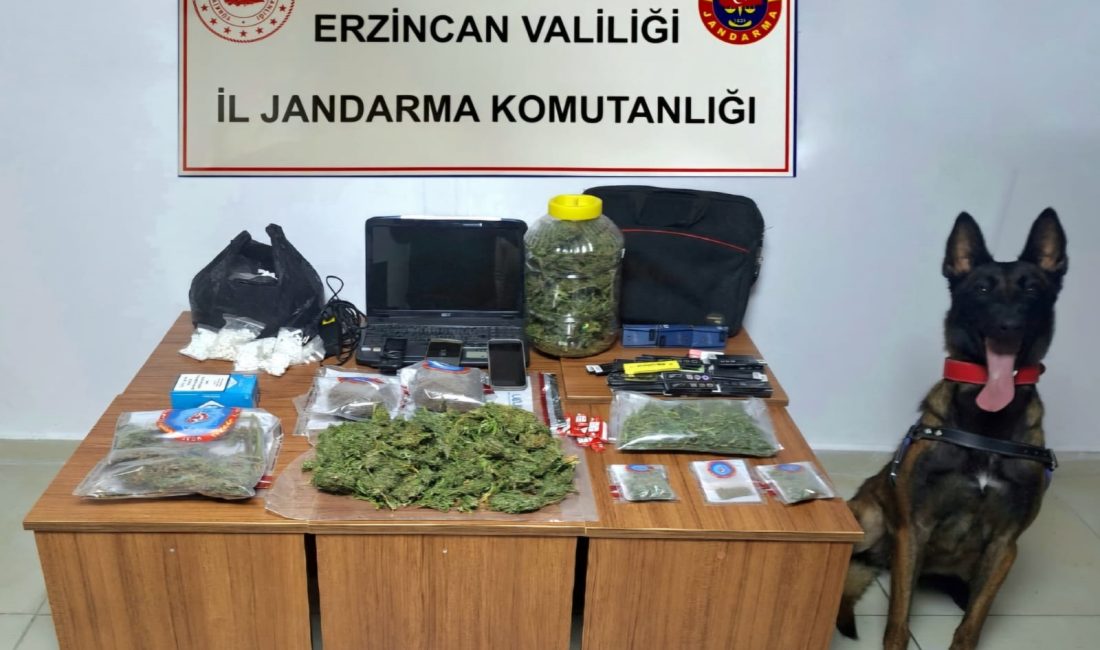Erzincan İl Jandarma Komutanlığınca, Ekim 2024 ayında icra edilen Asayiş,