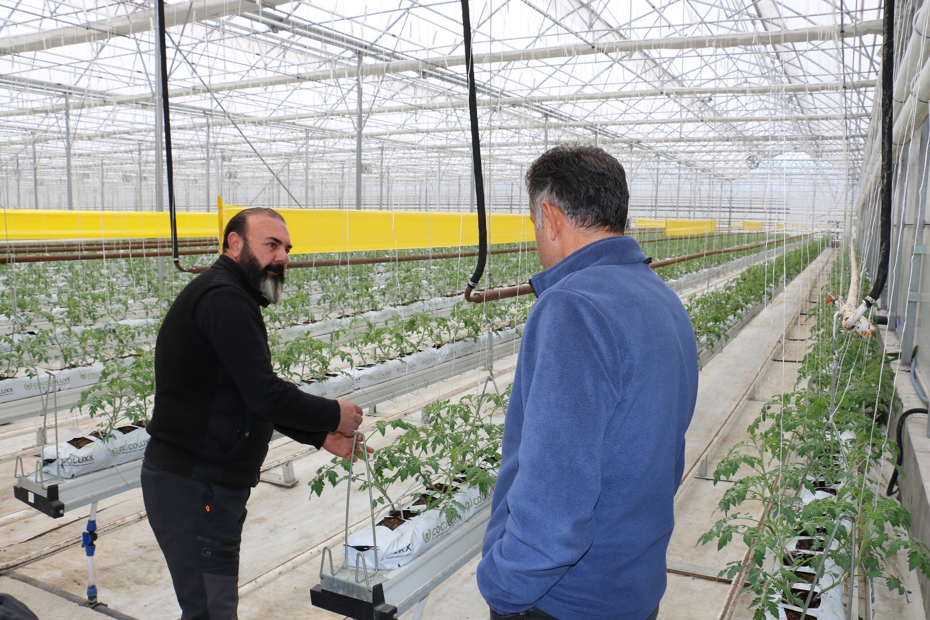 Jeotermal kaynakları, verimli toprakları ve mikro klima özelliği ile seracılıkta