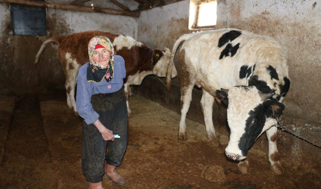 Erzincan’da gün yüzüne çıkan insan hikâyeleri görenleri şaşırtmaya devam ediyor.