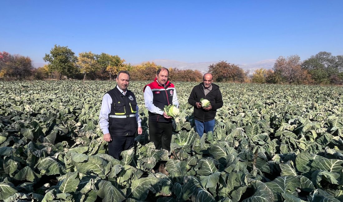Yaz sezonunun sona ermesinin ardından kışlık sebzeler pazarlarda ve manavlarda