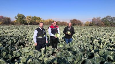 Yaz sezonunun sona ermesinin ardından kışlık sebzeler pazarlarda ve manavlarda