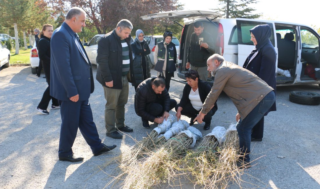 Erzincan yeni bir meyve türünü daha tarımsal ürün desenine dahil