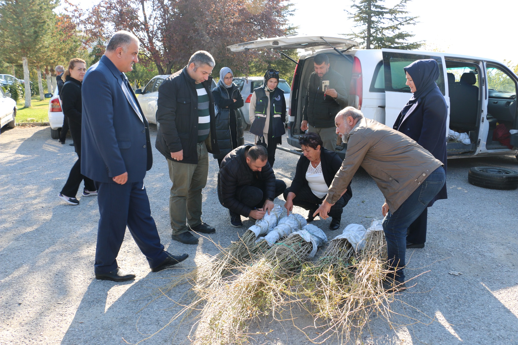 Erzincan yeni bir meyve türünü daha tarımsal ürün desenine dahil