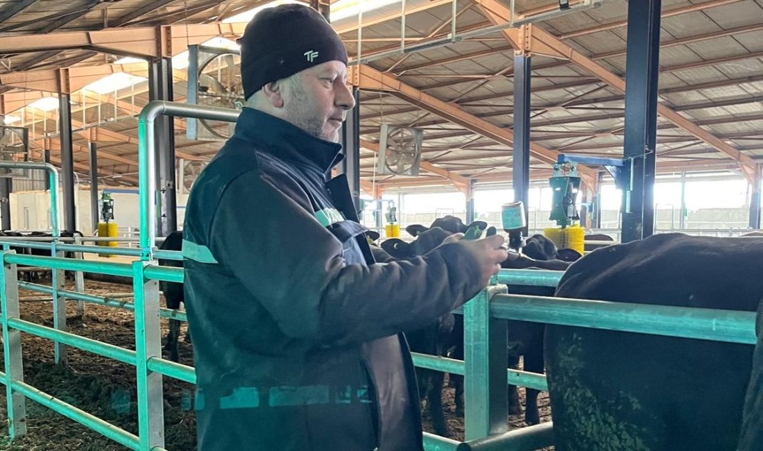 Erzincan’da şap aşılama kampanyası 7 Aralık 2024 tarihine kadar uzatıldı.