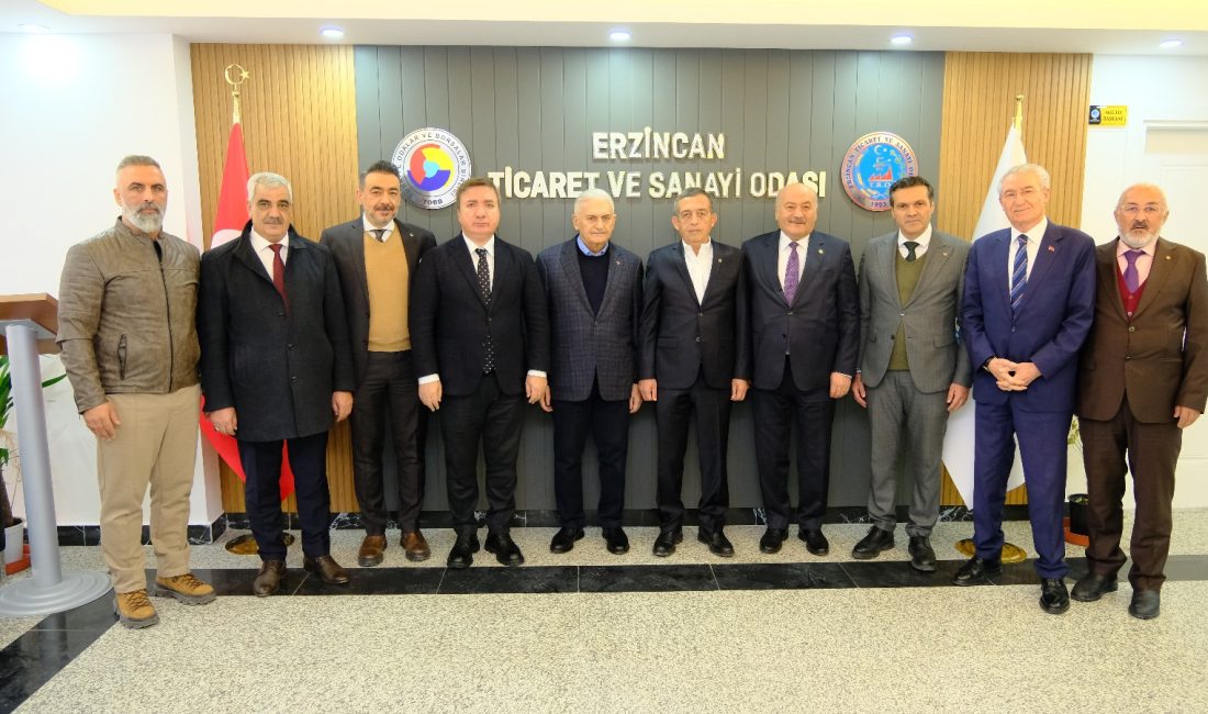 Türk Devletleri Teşkilatı (TDT) Aksakallar Heyeti Başkanı ve Türkiye Cumhuriyeti