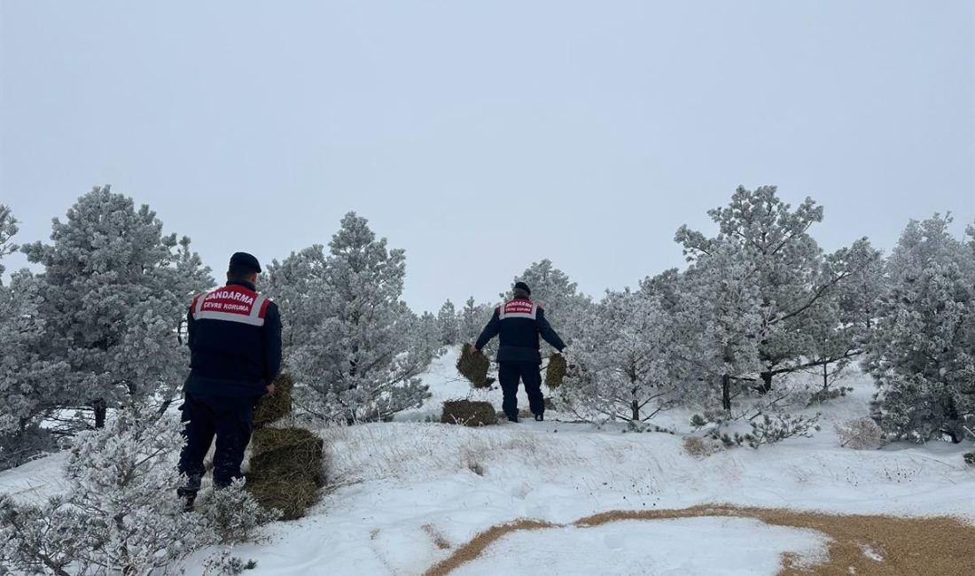 Erzincan İl Jandarma Komutanlığı, Çevre, Doğa ve Hayvanları Koruma Timi