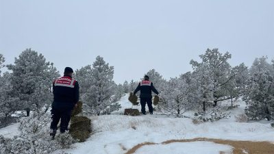 Erzincan İl Jandarma Komutanlığı, Çevre, Doğa ve Hayvanları Koruma Timi
