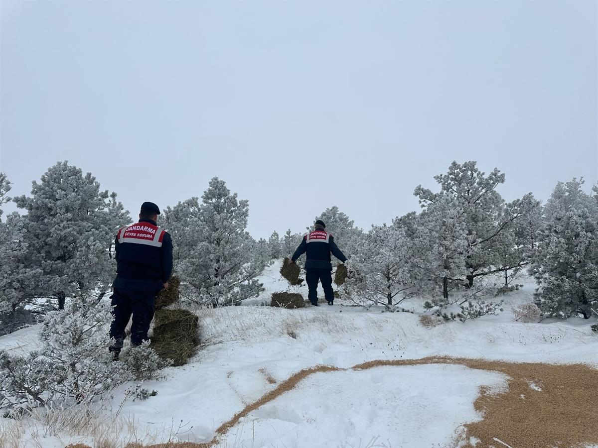 Erzincan İl Jandarma Komutanlığı, Çevre, Doğa ve Hayvanları Koruma Timi