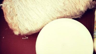 Tarım ve Orman Bakanlığı tarafından son dönemlerde yapılan gıda denetimlerinde