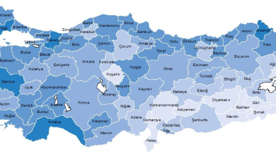 Gayrisafi Yurt İçi Hasıladan 2023 yılında en yüksek payı yüzde