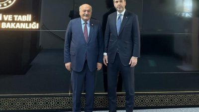 AK Parti Erzincan Milletvekili Süleyman Karaman, Enerji ve Tabii Kaynaklar