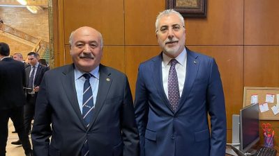 AK Parti Erzincan Milletvekili Süleyman Karaman, Çalışma ve Sosyal Güvenlik