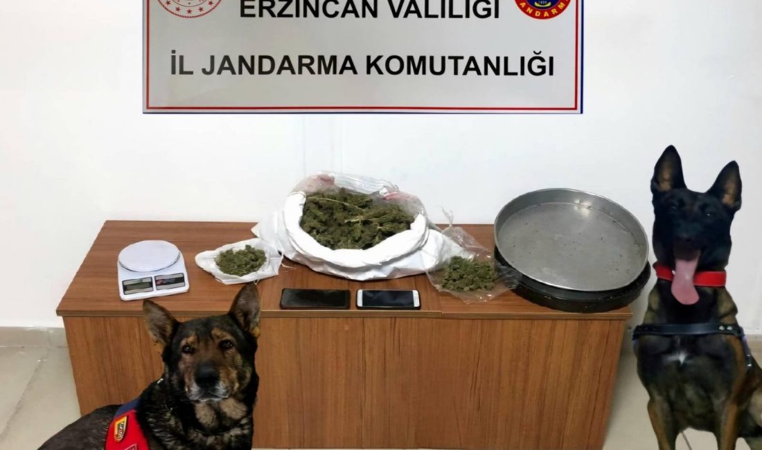 Erzincan İl Jandarma Komutanlığınca, Aralık 2024 ayında icra edilen Asayiş,