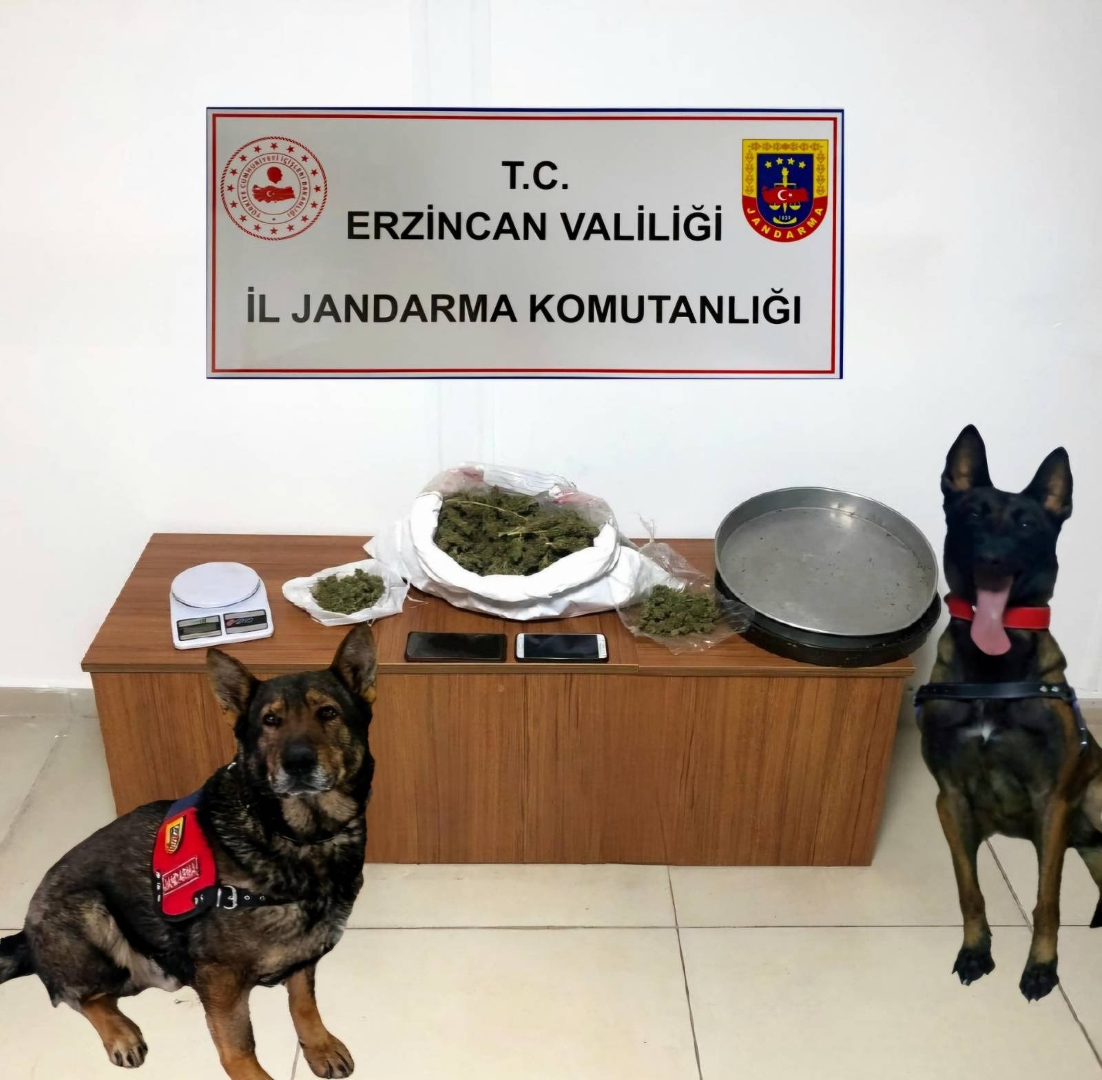 Erzincan İl Jandarma Komutanlığınca, Aralık 2024 ayında icra edilen Asayiş,