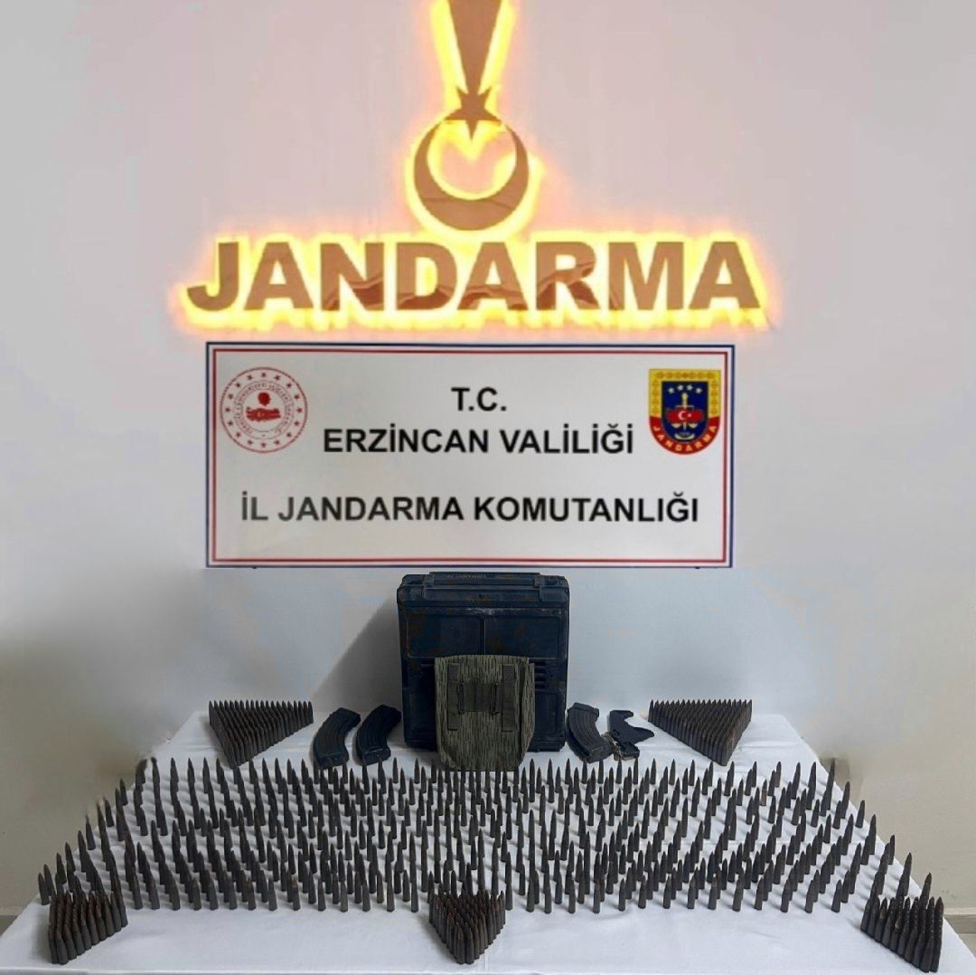 Erzincan İl Jandarma Komutanlığınca, 2024 yılı içerisinde icra edilen Asayiş,