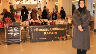 Kuzey Anadolu Kalkınma Ajansı tarafından yürütülen 2024 Yılı Sosyal Gelişmeyi