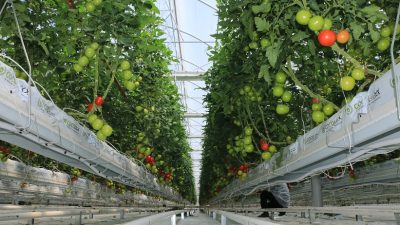 Erzincan İl Tarım ve Orman Müdürü Murat Şahin, 2024 yılını