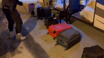 Erzincan İl Emniyet Müdürlüğü Narkotik Suçlarla Mücadele ve İstihbarat Şube