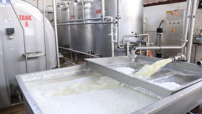 Ticari süt işletmeleri tarafından toplanan inek sütü miktarı, Kasım ayında