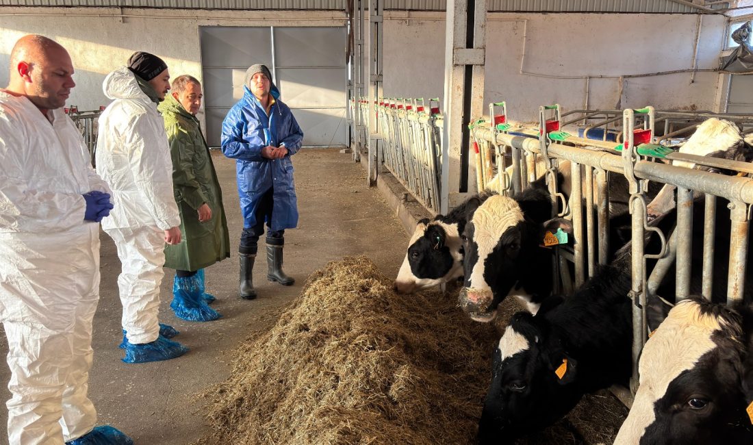 Erzincan’da faaliyet gösteren büyükbaş hayvancılık işletmelerinde ari işletme sertifikası alma