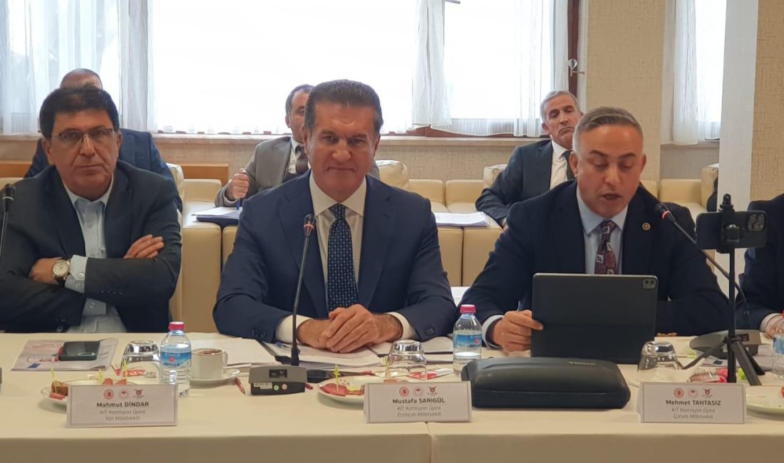 CHP Erzincan Milletvekili Mustafa Sarıgül, “Et fiyatlarının yükselmemesi için et