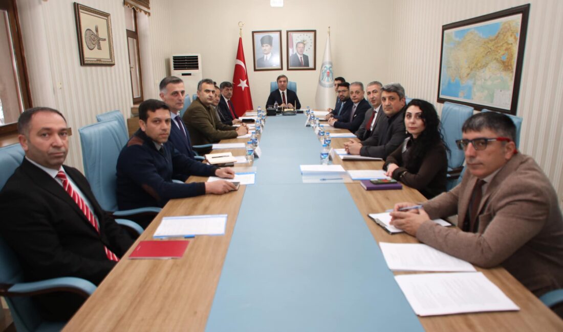 Sokak hayvanlarının korunması ve sokak hayvanlarına daha sağlıklı yaşam alanları
