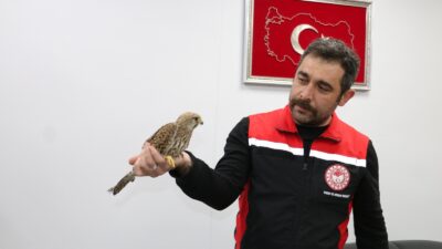  Erzincan’da ağır seyreden kış şartları yaban hayatını olumsuz etkilemeye