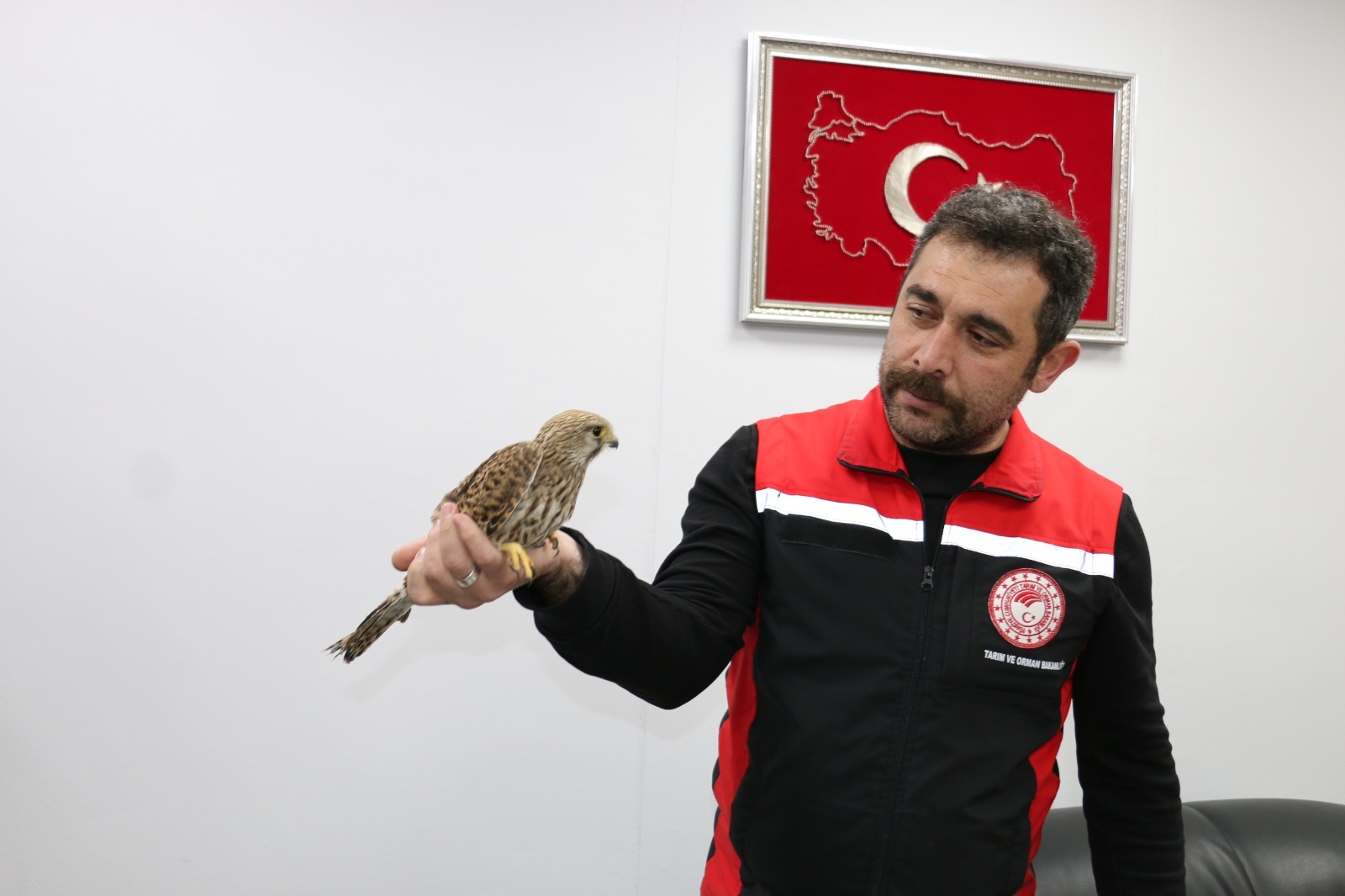  Erzincan’da ağır seyreden kış şartları yaban hayatını olumsuz etkilemeye