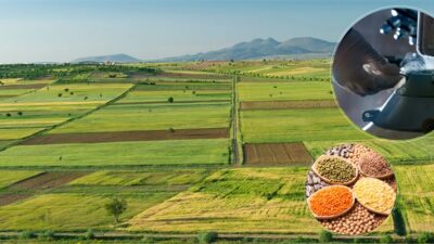 Tarım ve Orman Bakanı İbrahim Yumaklı, 2 milyar 251 milyon