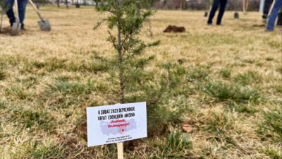 Türkiye Diyanet Vakfı (TDV), 6 Şubat depremlerinde hayatını kaybedenlerin anısına
