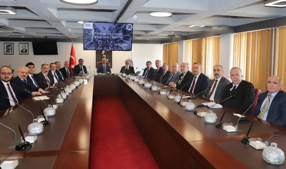 Erzincan Binali Yıldırım Üniversitesi Rektörü Prof. Dr. Akın Levent, Yükseköğretim