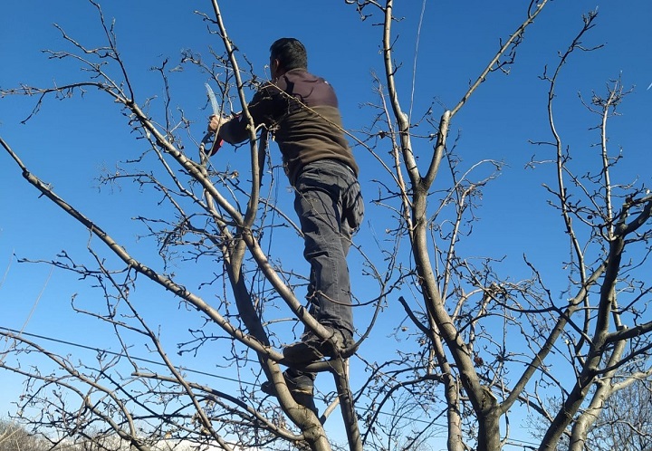 Erzincan’da havaların ısınması ve baharın yavaş yavaş kendini göstermesi ile