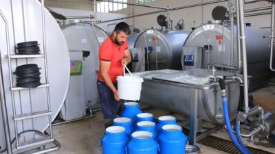 Ticari süt işletmeleri tarafından toplanan inek sütü miktarı, Ocak ayında