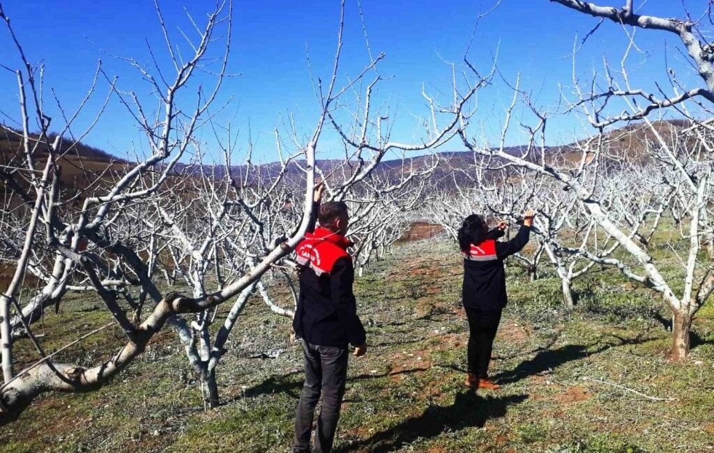 Bahar mevsiminin yaklaşmasıyla birlikte Erzincan’da bulunan meyve bahçelerinde bahar hazırlıkları