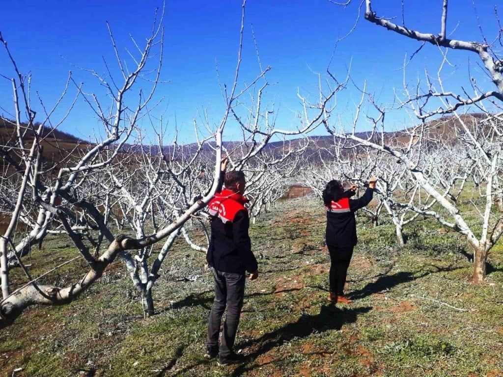 Bahar mevsiminin yaklaşmasıyla birlikte Erzincan’da bulunan meyve bahçelerinde bahar hazırlıkları